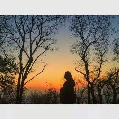 火博体育App官网