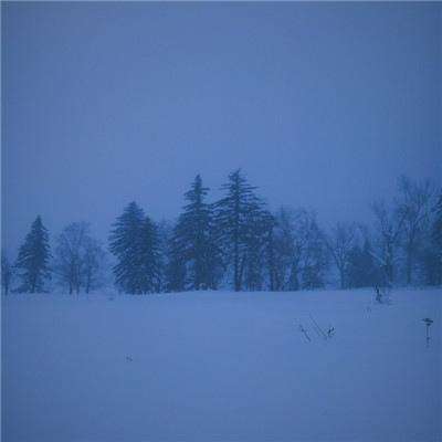 b体育官方下载入口手机版