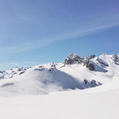 半岛官网最新下载截图